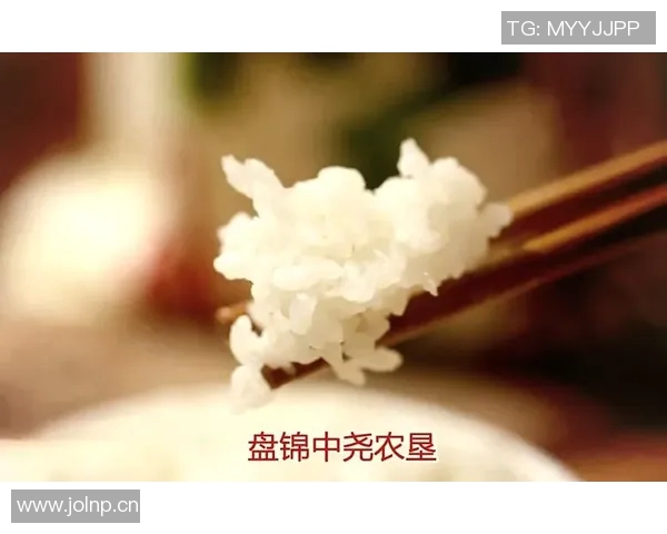 大米的多样化用途与营养价值探秘：从传统食品到现代创新菜肴的全面解析